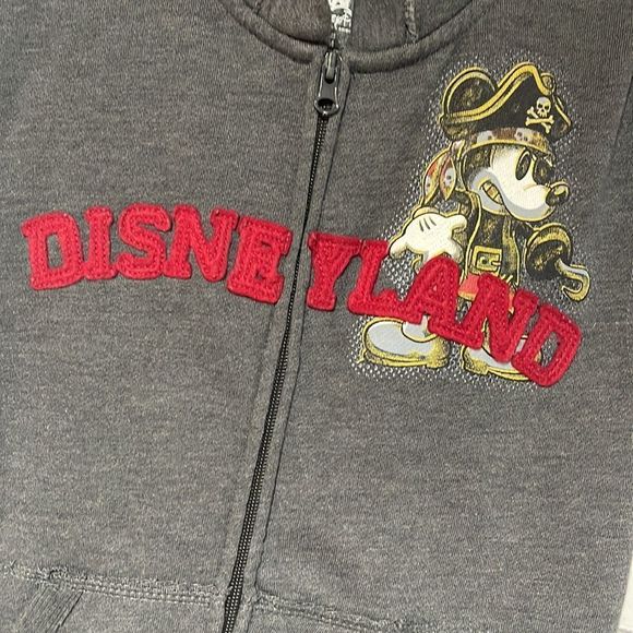 Unisex Gray Sleeveless Disneyland  Hoodie Medium - Picture 4 of 14